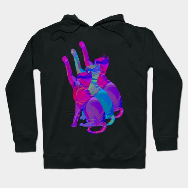 Chromatic Cats Hoodie by anomalyalice